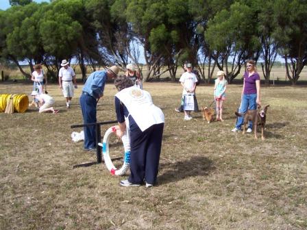 Dogs Day Out 2008