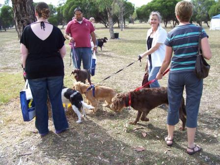 Dogs Day Out 2008