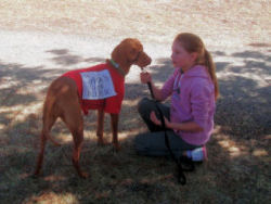 Gala Day 2006