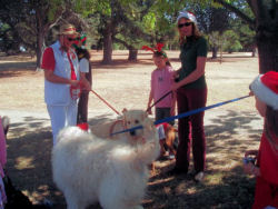 Gala Day 2006